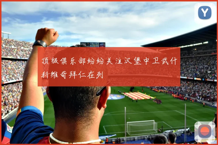顶级俱乐部纷纷关注汉堡中卫武什科维奇拜仁在列