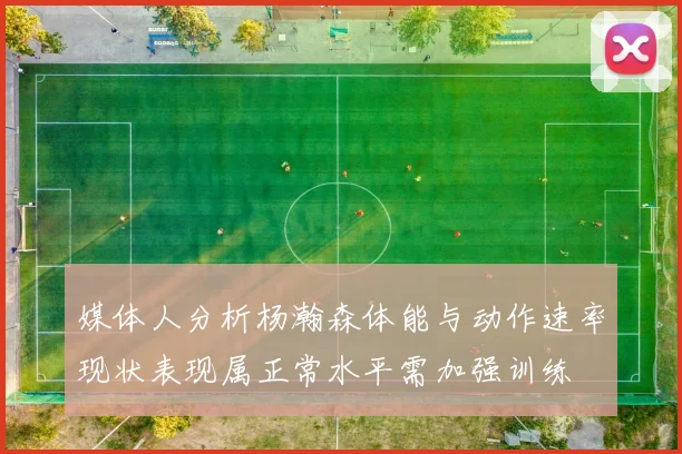 媒体人分析杨瀚森体能与动作速率现状表现属正常水平需加强训练