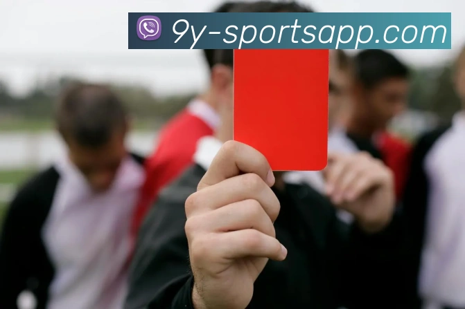 九游足球APP 封面图